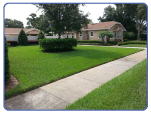 Total Pest Solutions Provides Termite Control Pest Control Lawn Care