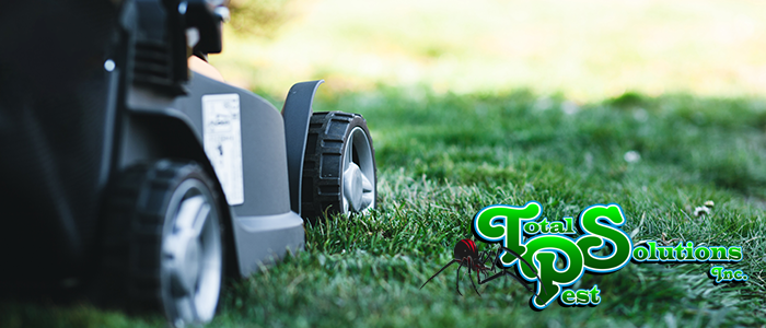 Fertilization and lawncare.