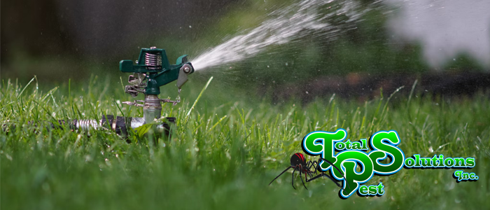 May lawn care tips