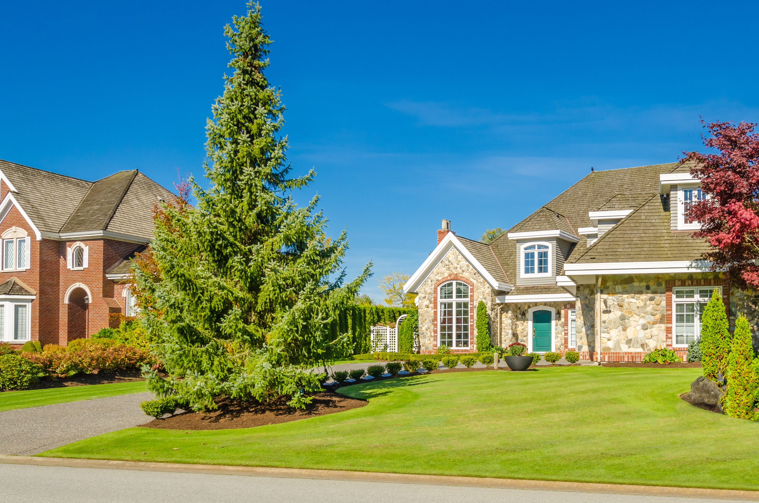 Quiet Lakeland FL suburban street where bed bug control between homes is essential