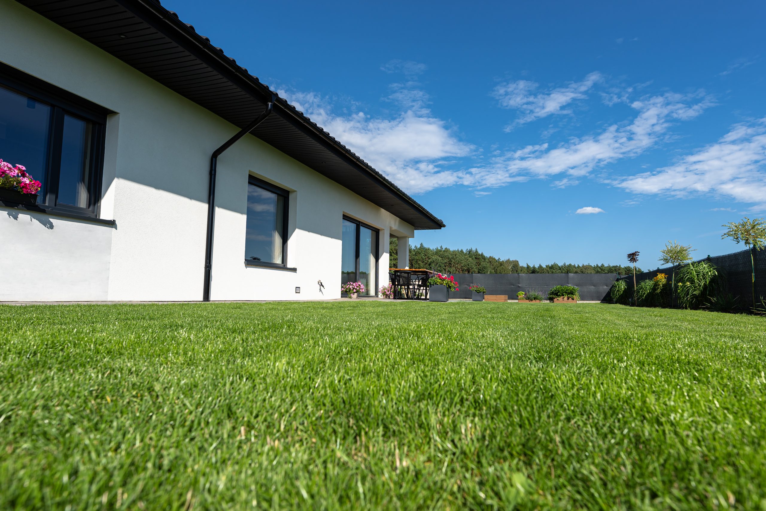 Lush green backyard lawn in Haines City FL benefiting from mosquito control treatments