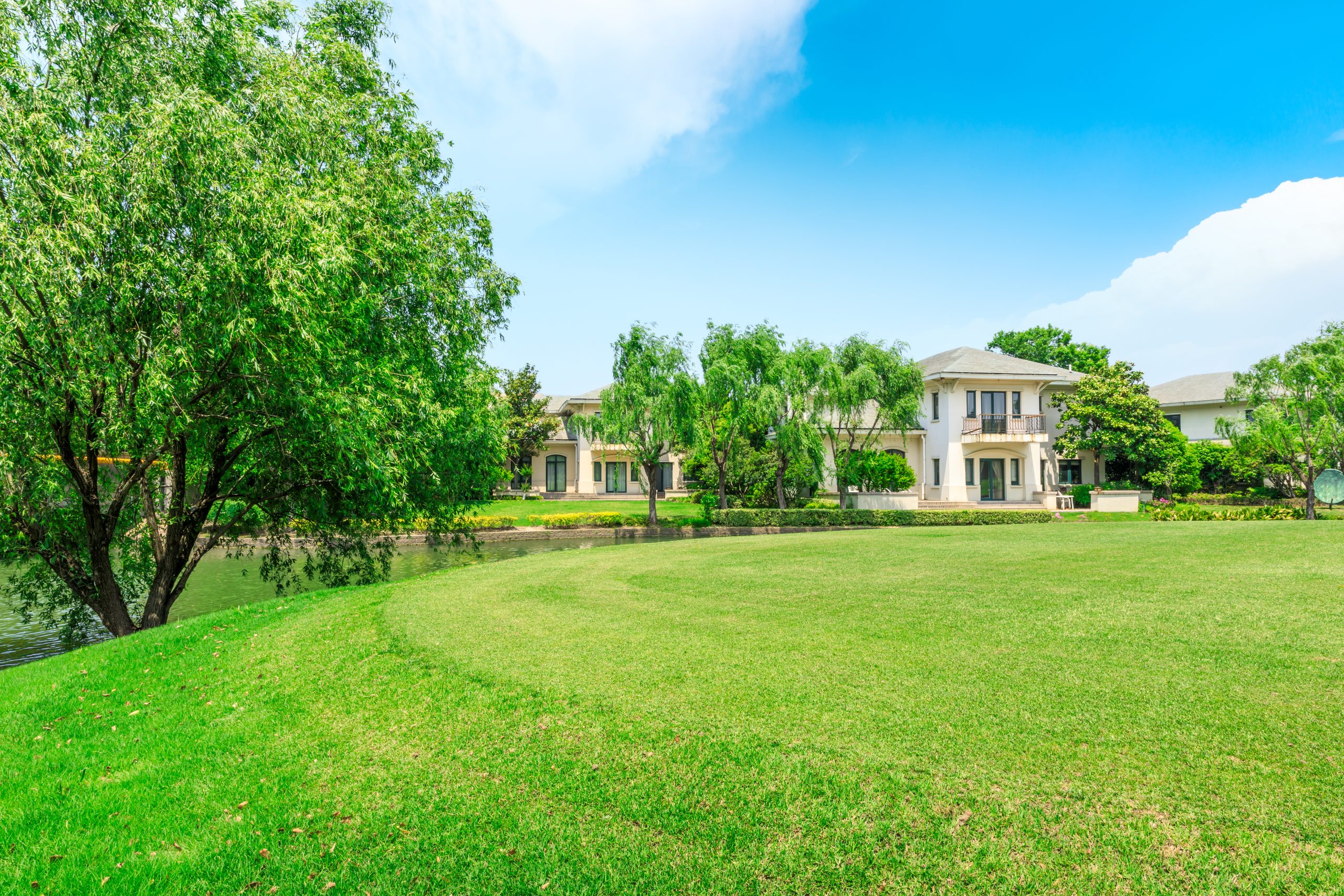 Grassy yard and trees near Florida homes requiring ant control Winter Haven FL